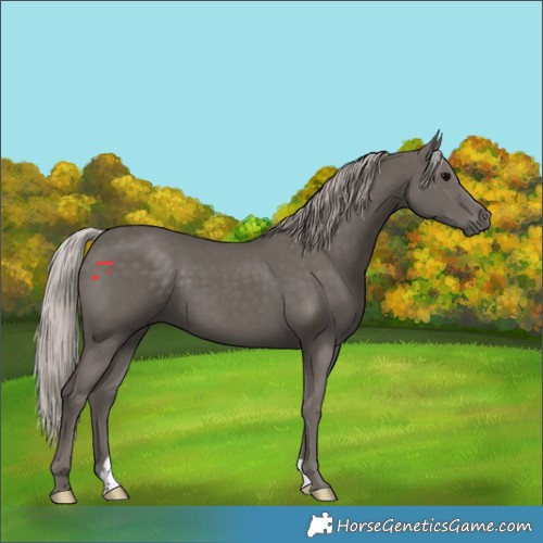 Horse Color:Silver Black 