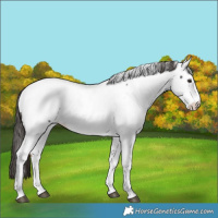 Horse Color:Liver Chestnut Tobiano Fewspot 