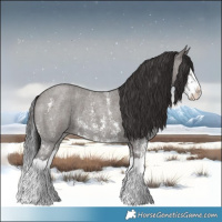 Horse Color:Smoky Grullo Roan Sabino Splash