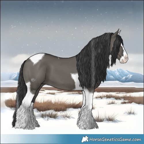 Horse Color:Grullo Splash Tobiano 