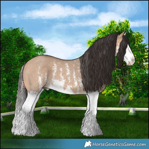 Horse Color:Bay Dun Sabino Splash 