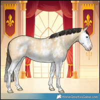 Horse Color:Buckskin Dun Sabino Splash