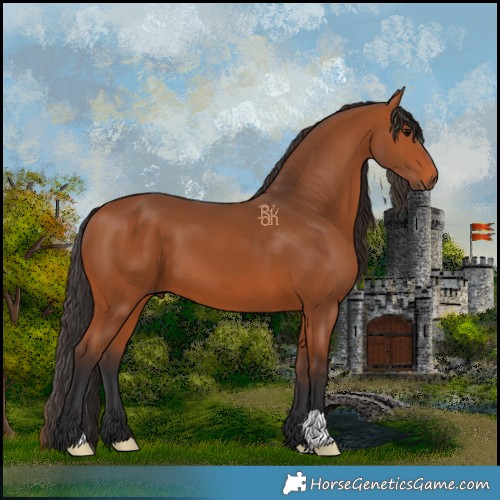 Horse Color:Bay 