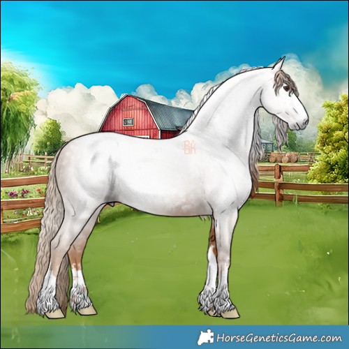 Horse Color:Gray Chestnut 