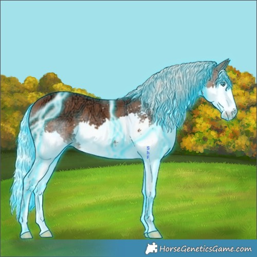 Horse Color:Thunderstruck Silver Bay Ice Sabino Splash 