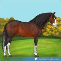 Horse Color:Brown Splash
