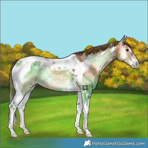 Horse Color:Red Onyx Ice Tobiano