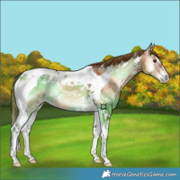 Horse Color:Red Onyx Ice Tobiano 