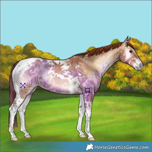 Horse Color:Red Onyx Ice Tobiano