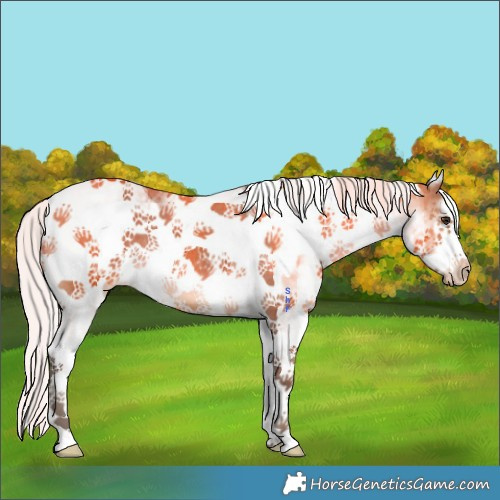 Horse Color:White Spotted Silver Brown Frame Blanket 