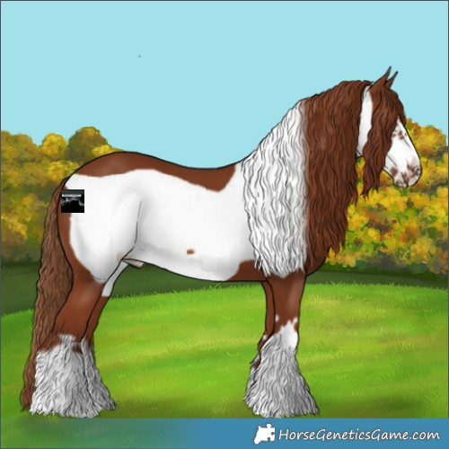 Horse Color:Chestnut Frame 