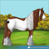 Horse Color:Chestnut Frame