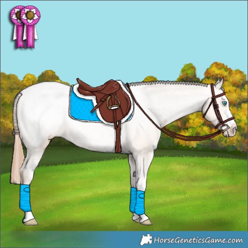 Horse Color:Amber Champagne Pearl Appaloosa 