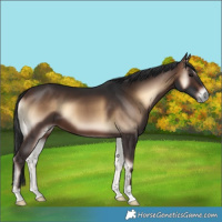 Horse Color:Brown Onyx