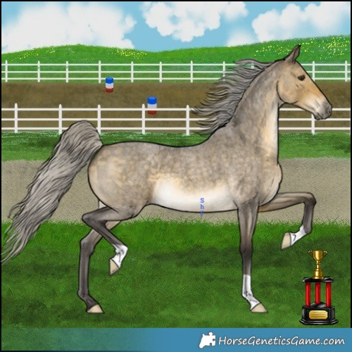 Horse Color:Silver Buckskin Roan Dun 