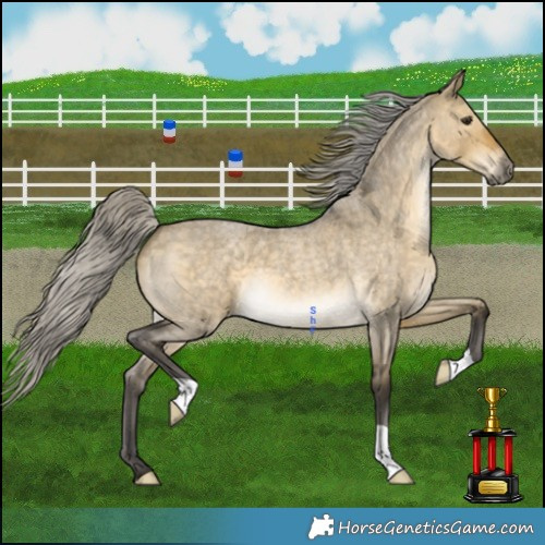 Horse Color:Silver Buckskin Roan Dun 