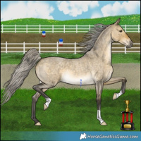 Horse Color:Silver Buckskin Roan Dun