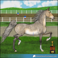 Horse Color:Silver Buckskin Roan Dun 