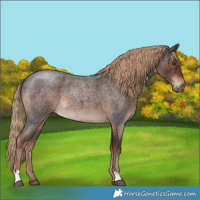 Horse Color:Liver Red Roan 
