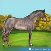 Horse Color:Liver Red Roan