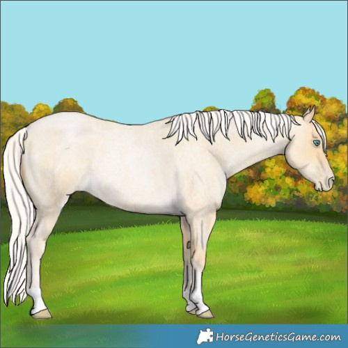 Horse Color:Silver Smoky Blue Roan Pearl Rabicano 