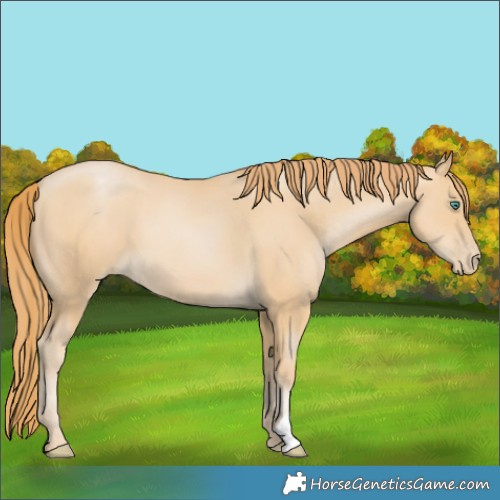 Horse Color:Smoky Black Pearl 