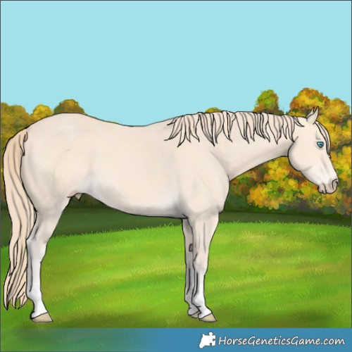 Horse Color:Perlino 