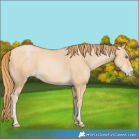 Horse Color:Smoky Black Pearl