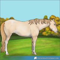 Horse Color:Smoky Black Pearl 
