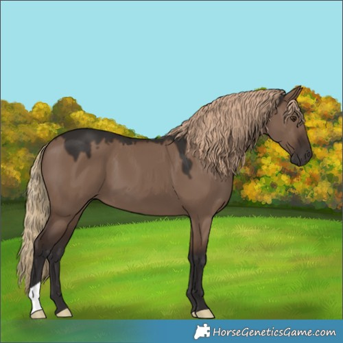 Horse Color:Liver Red Dun