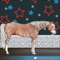 Horse Color:Silver Bay Ice Splash 