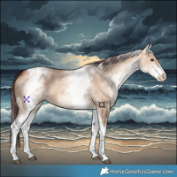 Horse Color:White Spotted Chocolate Bay Dun Tobiano 
