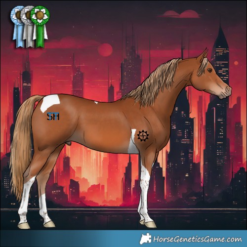 Horse Color:Chestnut Tobiano 