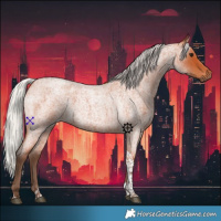Horse Color:Silver Bay Roan Tobiano 
