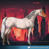 Horse Color:Silver Bay Roan Tobiano 