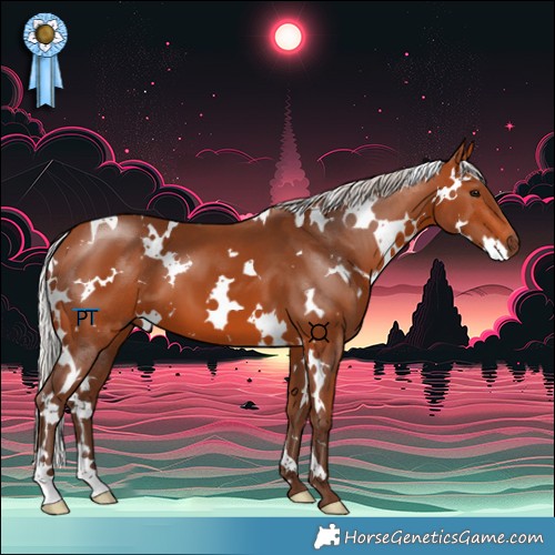 Horse Color:White Spotted Silver Bay 