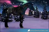 Horse Color:ERROR: UNKNOWN ANOMALY