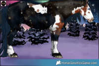 Horse Color:Brown Ice Frame and ERROR: UNKNOWN ANOMALY