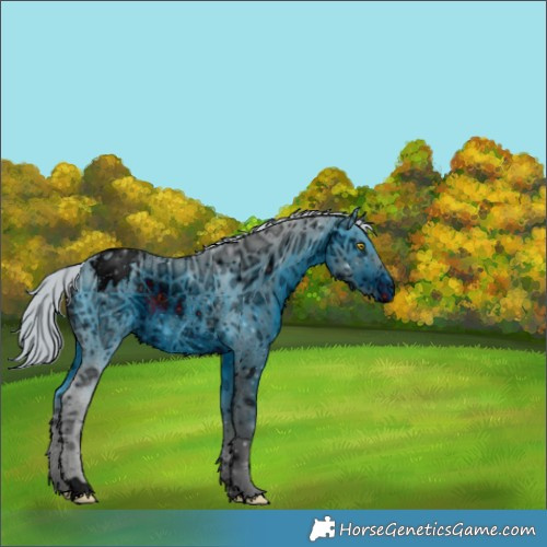 Horse Color:ERROR: UNKNOWN ANOMALY