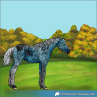 Horse Color:ERROR: UNKNOWN ANOMALY