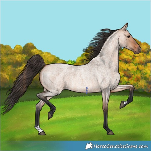 Horse Color:Bay Roan Dun Mushroom 