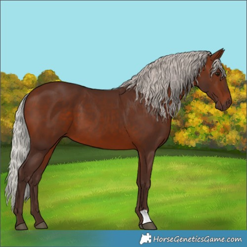 Horse Color:Silver Brown