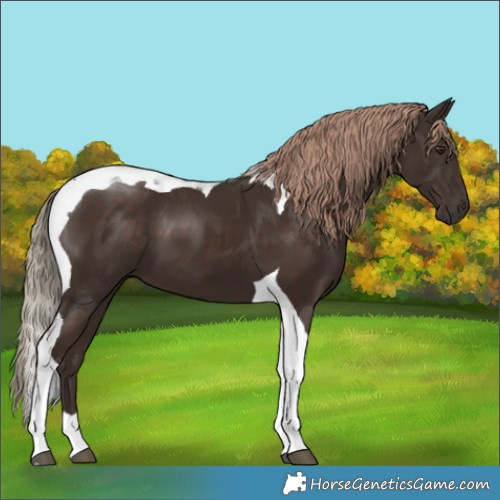 Horse Color:Liver Chestnut Tobiano 