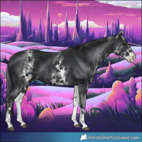 Horse Color:White Spotted Black 
