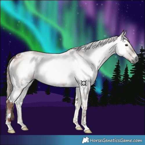 Horse Color:Gray White Spotted Red Onyx Tobiano 