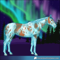Horse Color:Thunderstruck Bay Tobiano 