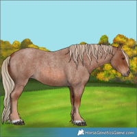 Horse Color:Red Roan 