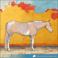 Horse Color:Gold Champagne Tobiano
