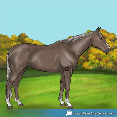 Horse Color:Silver Black 