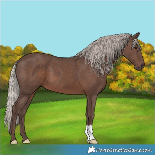 Horse Color:Silver Black 